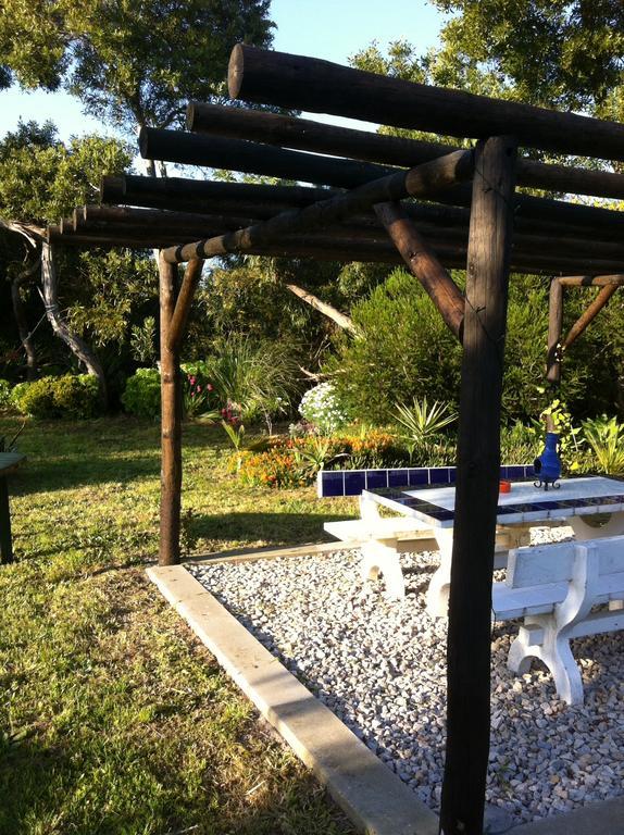 Alentejo Pig Dog Surf Camp Hotel Palhota Екстериор снимка