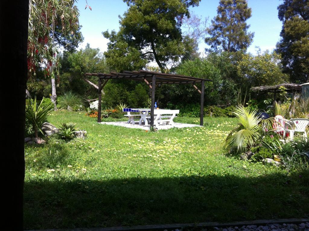 Alentejo Pig Dog Surf Camp Hotel Palhota Екстериор снимка